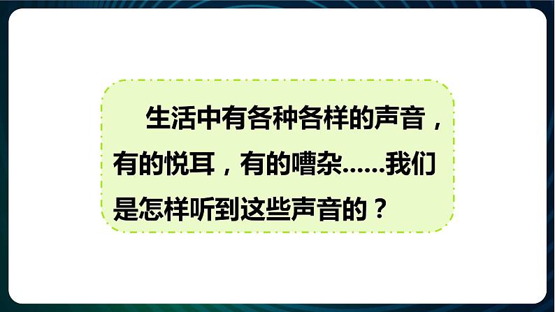 新青岛版科学六年级下册3 听觉 课件PPT02