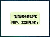 新青岛版科学六年级下册4 嗅觉和味觉 课件PPT
