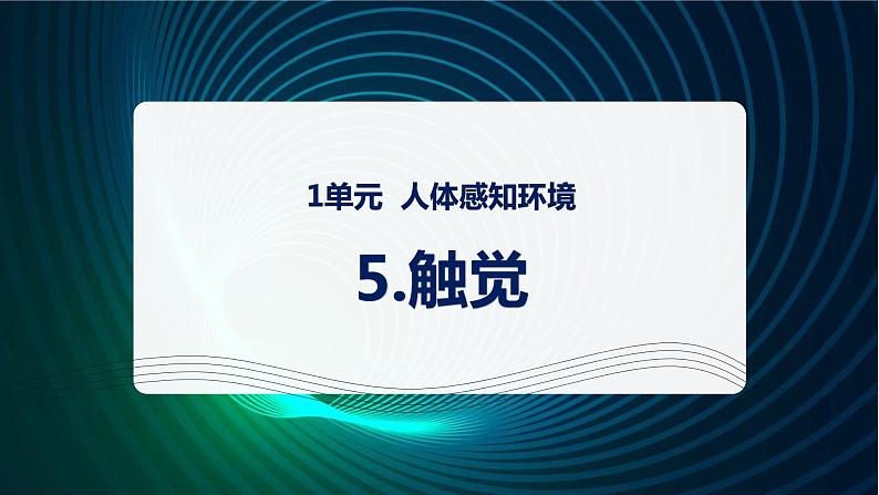 新青岛版科学六年级下册5 触觉 课件PPT01