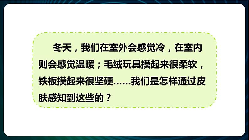 新青岛版科学六年级下册5 触觉 课件PPT02