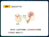 新青島版科學六年級下冊5 觸覺 課件PPT