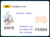 新青島版科學六年級下冊5 觸覺 課件PPT