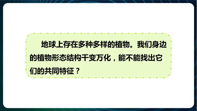 新青岛版科学六年级下册6 给植物分类 课件PPT02