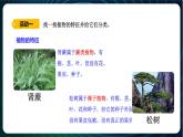 新青岛版科学六年级下册6 给植物分类 课件PPT