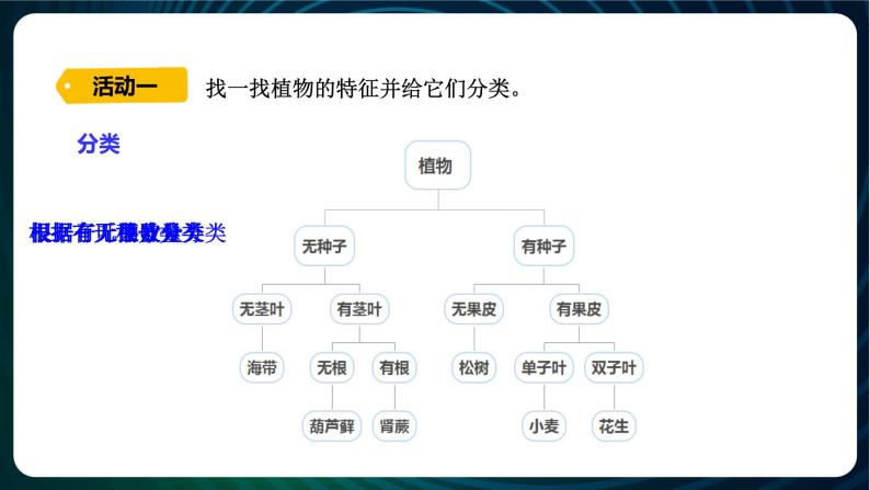 新青岛版科学六年级下册6 给植物分类 课件PPT07