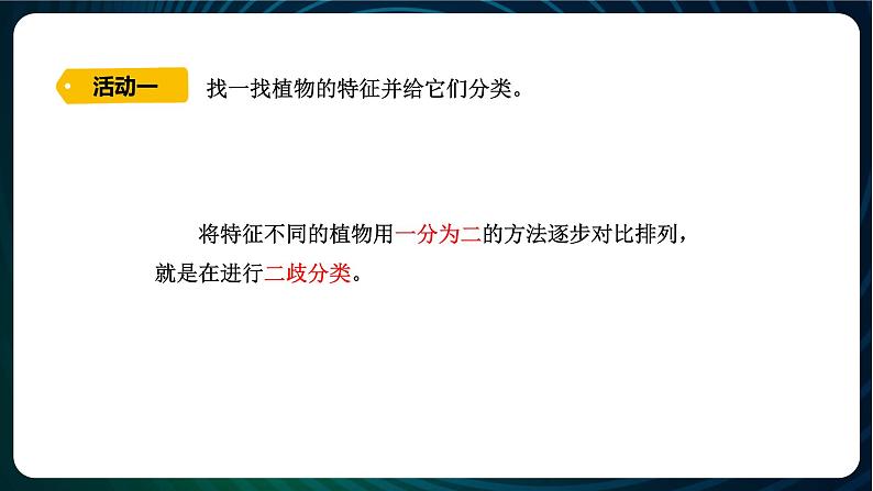 新青岛版科学六年级下册6 给植物分类 课件PPT08