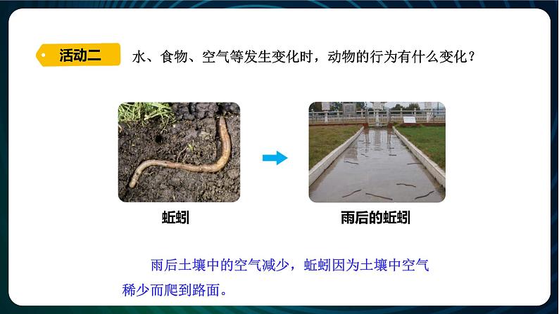 新青岛版科学六年级下册7 动物行为与环境变化 课件PPT第4页