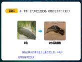 新青島版科學六年級下冊7 動物行為與環(huán)境變化 課件PPT