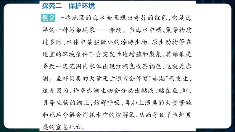 新青岛版科学六年级下册 第三单元实验探究 课件PPT（含答案）05