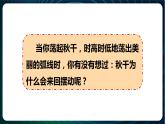 新青岛版科学六年级下册14 有趣的碰碰球 课件PPT