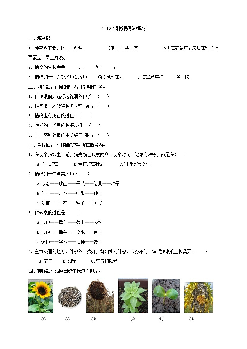 4.12《种辣椒》练习（含答案）第1页