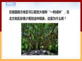 【青岛版六三制】四下科学 4.13《不同环境中的植物》（课件+教案+练习+素材）