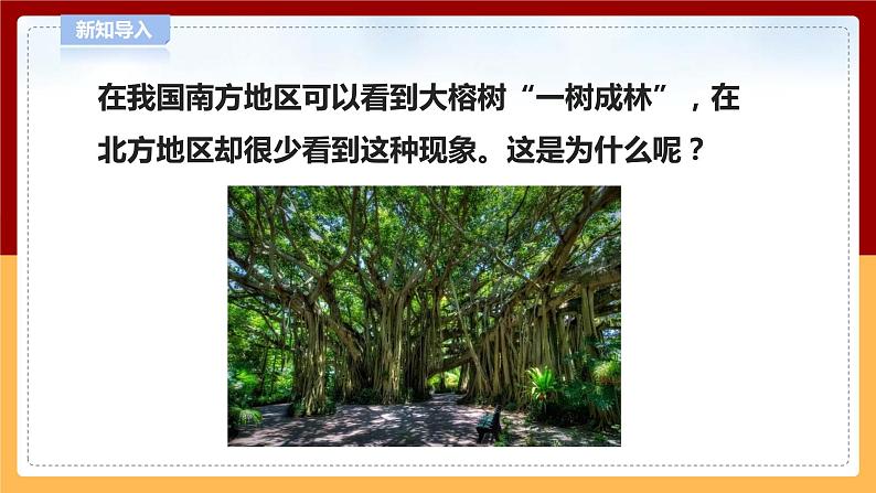 【青岛版六三制】四下科学 4.13《不同环境中的植物》（课件+教案+练习+素材）03