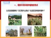 【青岛版六三制】四下科学 4.13《不同环境中的植物》（课件+教案+练习+素材）