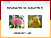 【青岛版六三制】四下科学 4.14《调查家乡植物》（课件+教案+练习）