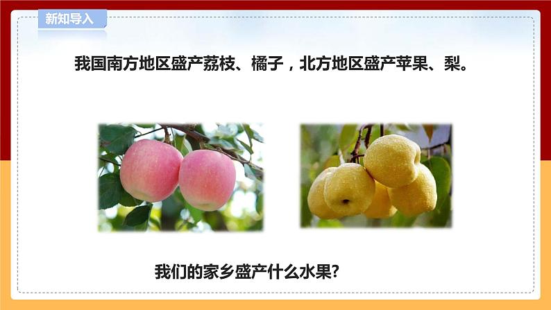 【青岛版六三制】四下科学 4.14《调查家乡植物》（课件+教案+练习）05