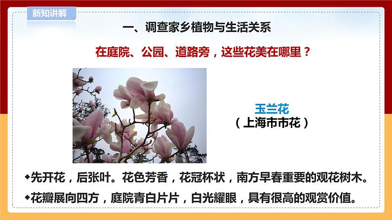 【青岛版六三制】四下科学 4.14《调查家乡植物》（课件+教案+练习）06
