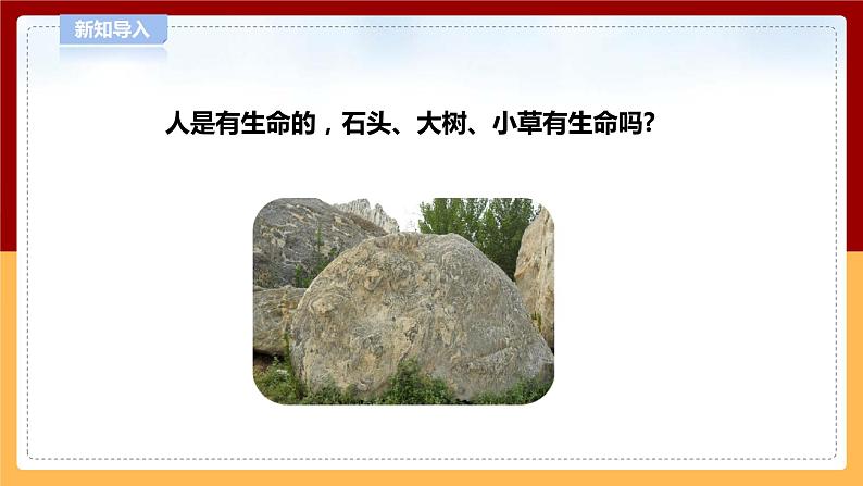 5.17《生物和非生物》课件 第2页