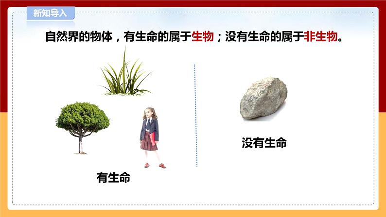 5.17《生物和非生物》课件 第3页