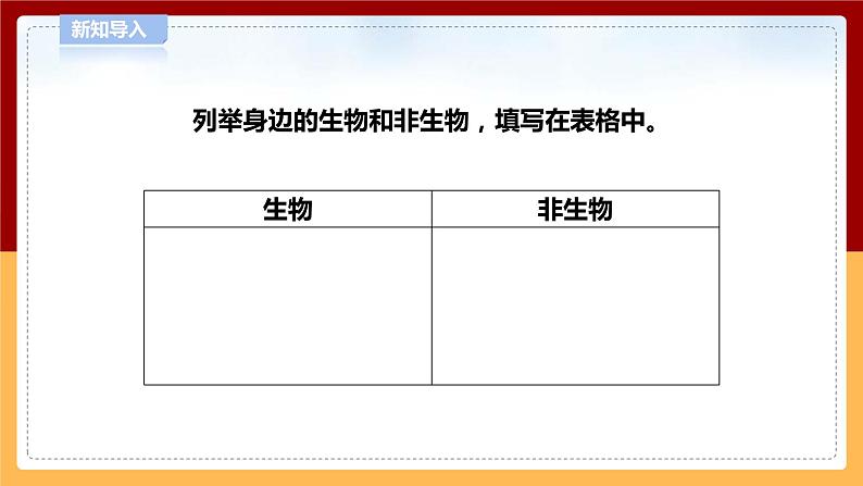 5.17《生物和非生物》课件 第4页
