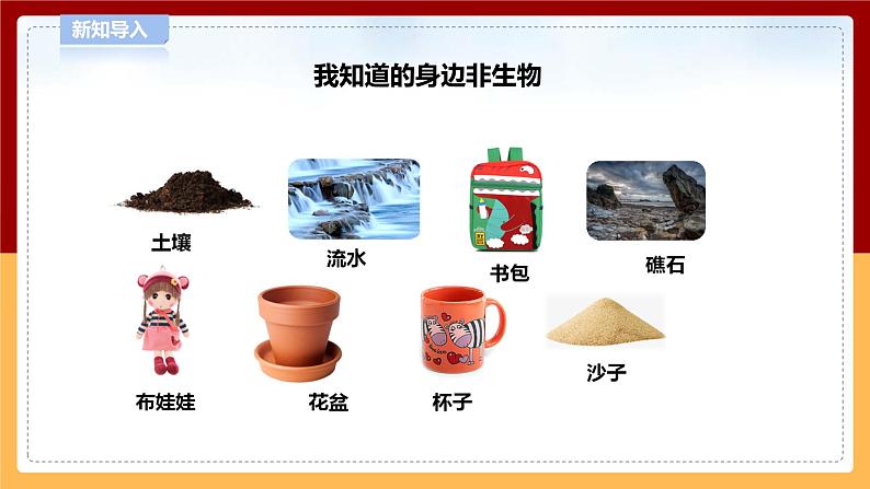 5.17《生物和非生物》课件 第6页