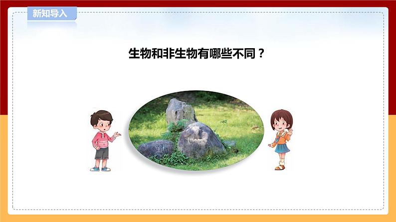 5.17《生物和非生物》课件 第7页