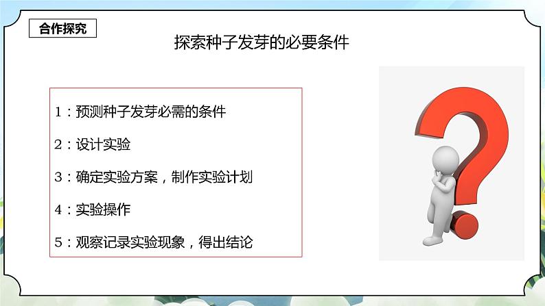 1.1《种子发芽实验》课件+素材 新教科版五年级科学下册06