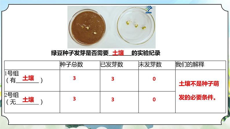 1.2《比较种子发芽实验》课件 新教科版五年级科学下册第5页