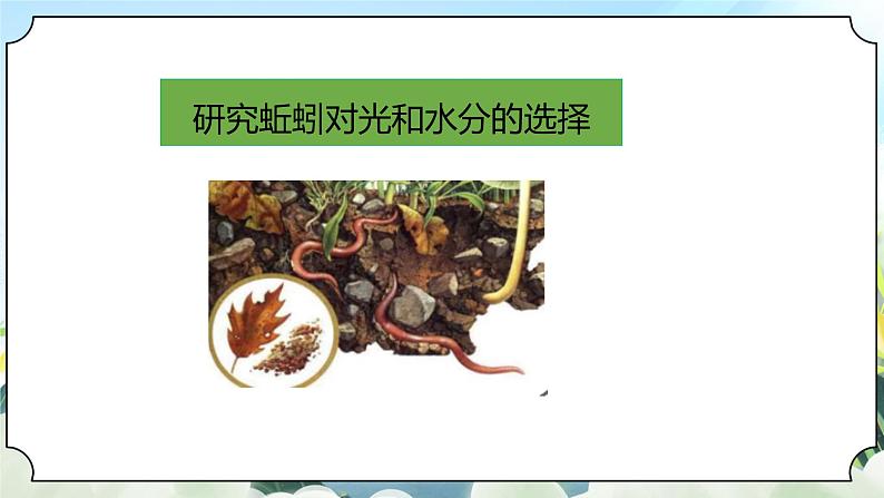1.4《蚯蚓的选择》课件+素材 新教科版五年级科学下册06