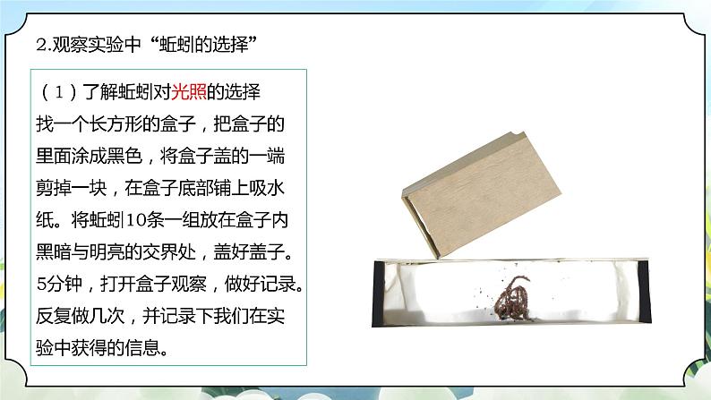 1.4《蚯蚓的选择》课件+素材 新教科版五年级科学下册07