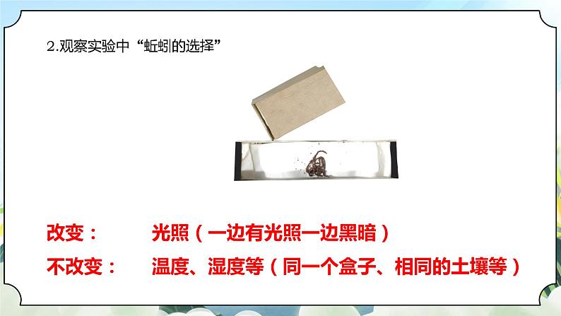 1.4《蚯蚓的选择》课件+素材 新教科版五年级科学下册08