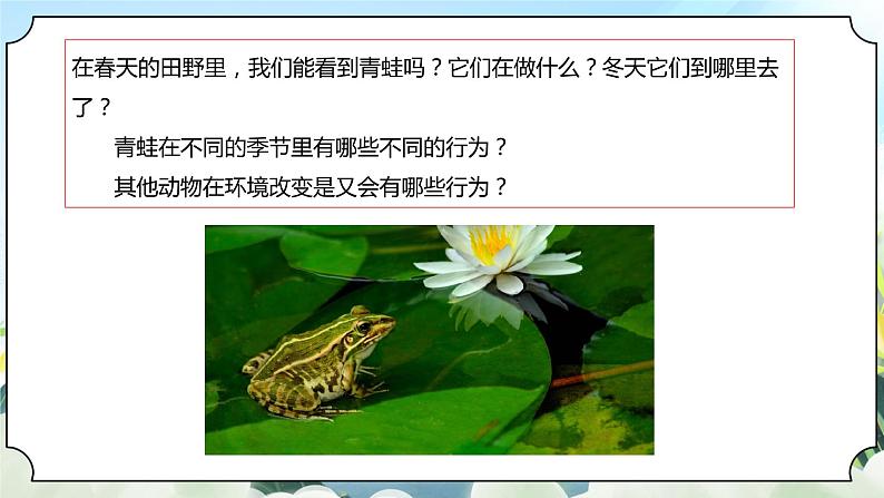 1.5《当环境改变了》课件+素材 新教科版五年级科学下册03