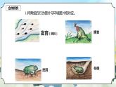 1.5《當(dāng)環(huán)境改變了》課件+素材 新教科版五年級科學(xué)下冊