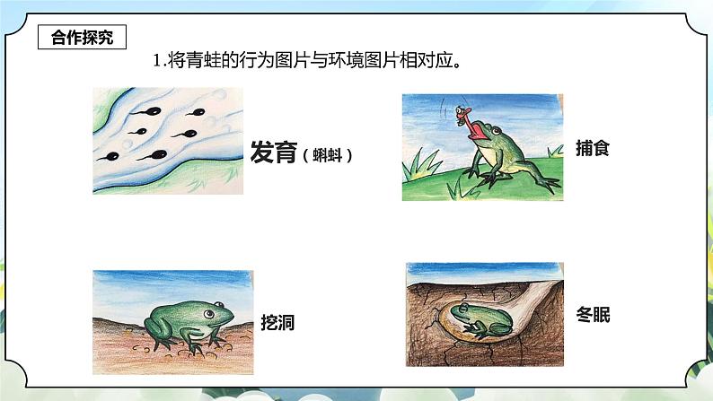 1.5《当环境改变了》课件+素材 新教科版五年级科学下册04