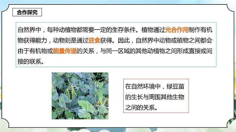 1.6《食物链和食物网》课件 新教科版五年级科学下册第5页
