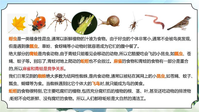 1.6《食物链和食物网》课件 新教科版五年级科学下册第7页