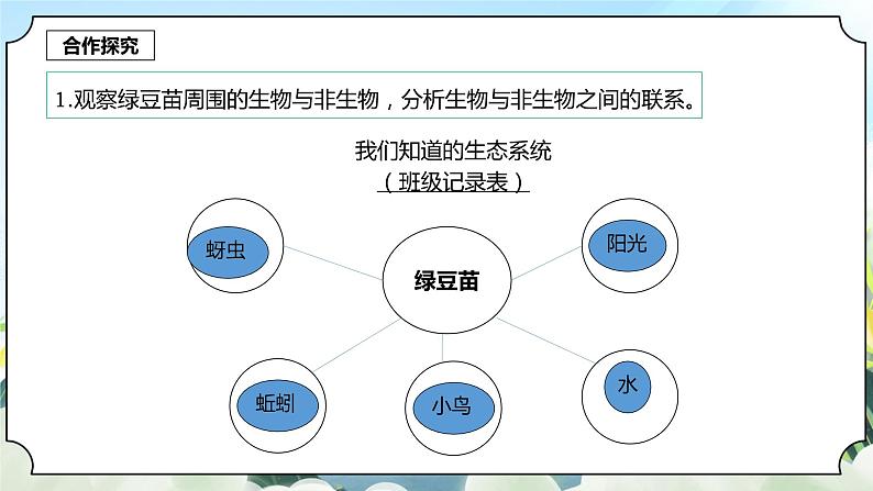1.7《设计和制作生态瓶》课件+素材 新教科版五年级科学下册04