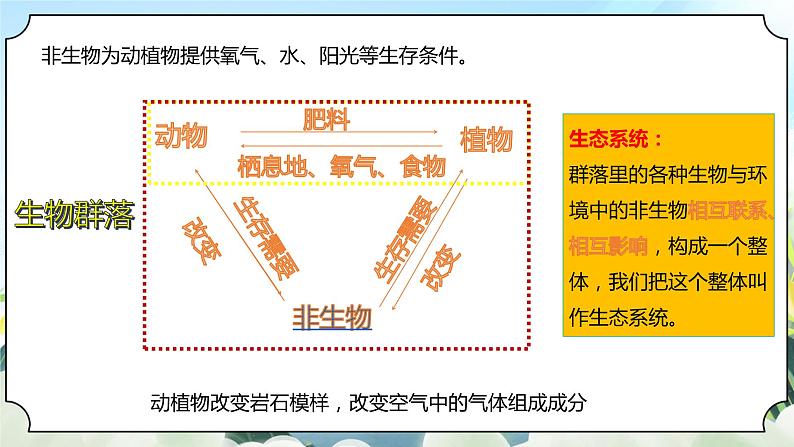 1.7《设计和制作生态瓶》课件+素材 新教科版五年级科学下册06