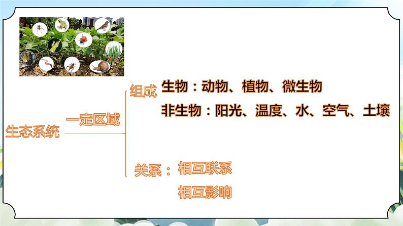 1.7《设计和制作生态瓶》课件+素材 新教科版五年级科学下册07