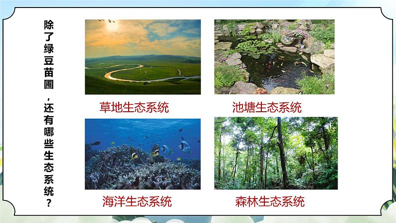 1.7《设计和制作生态瓶》课件+素材 新教科版五年级科学下册08