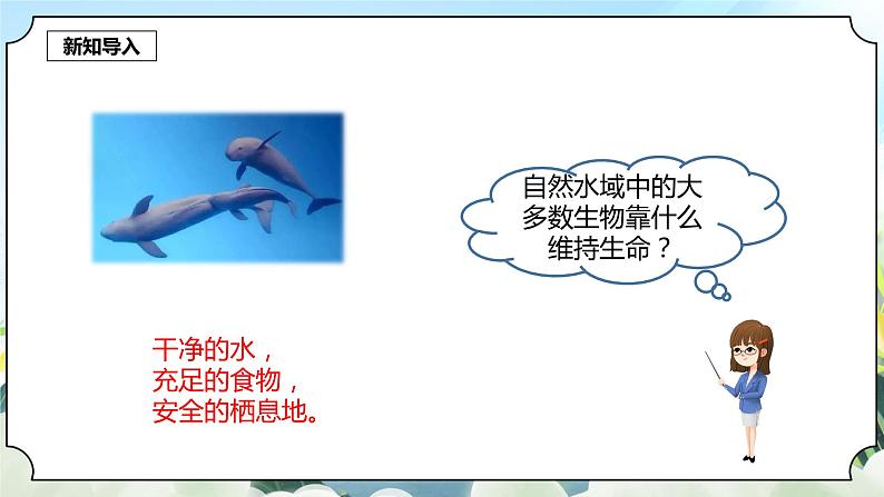 3.7《分析一个实际的环境问题》课件+素材 新教科版五年级科学下册03