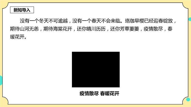 1.1《种子里孕育着新生命》课件+教案+试题（含解析）+素材 教科版（2017）四年级科学下册03