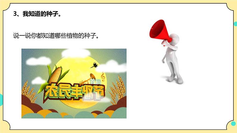 1.1《种子里孕育着新生命》课件+教案+试题（含解析）+素材 教科版（2017）四年级科学下册08