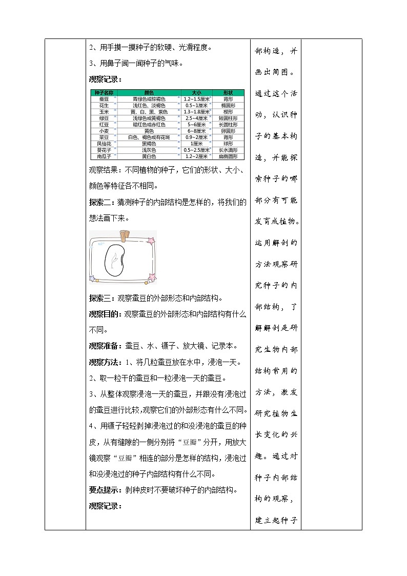 1.1《种子里孕育着新生命》课件+教案+试题（含解析）+素材 教科版（2017）四年级科学下册03