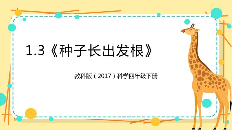 1.3《种子长出了根》课件+教案+试题（含解析）+素材 教科版（2017）四年级科学下册01