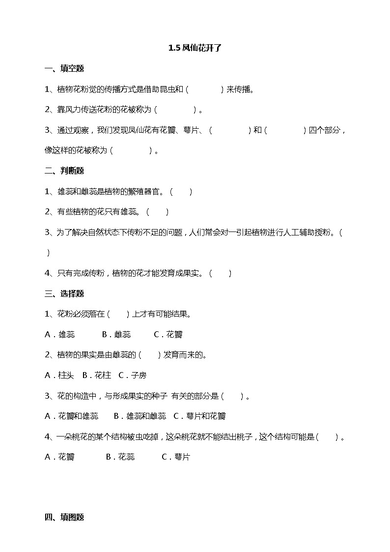 1.5《凤仙花开花了》试题（含解析）教科版（2017）四年级科学下册第1页