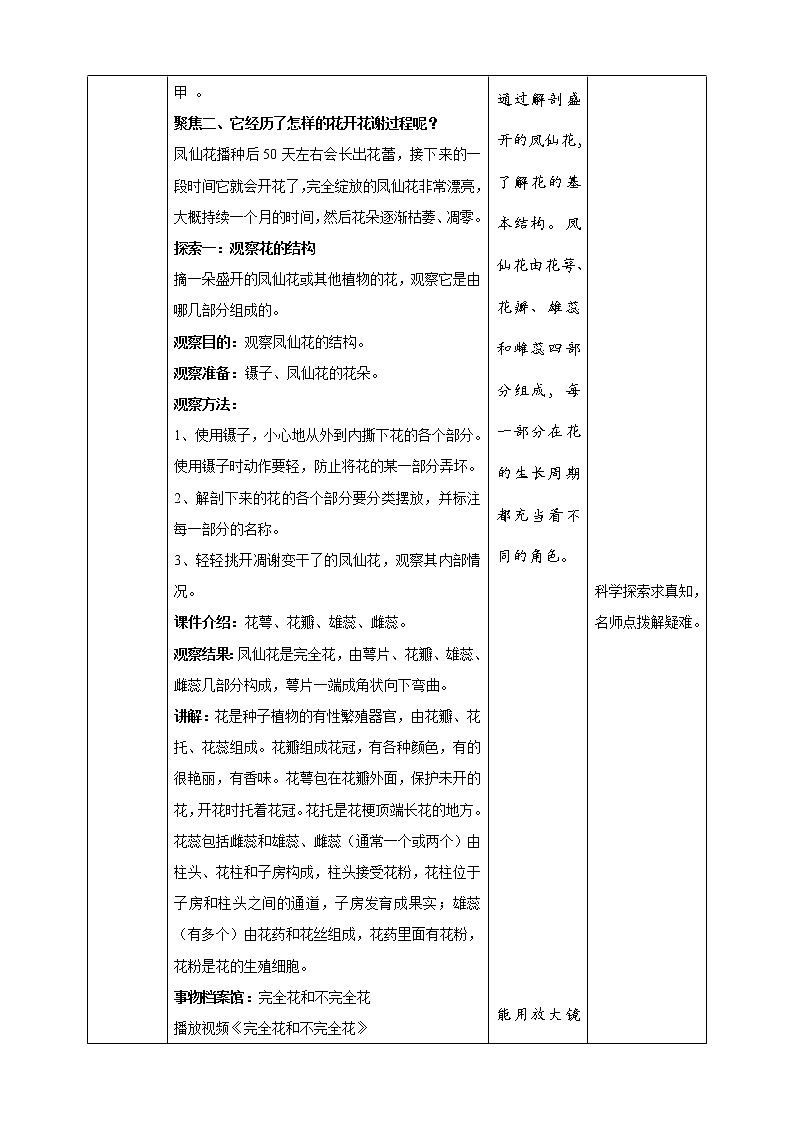 1.5《凤仙花开花了》教案 教科版（2017）四年级科学下册第2页