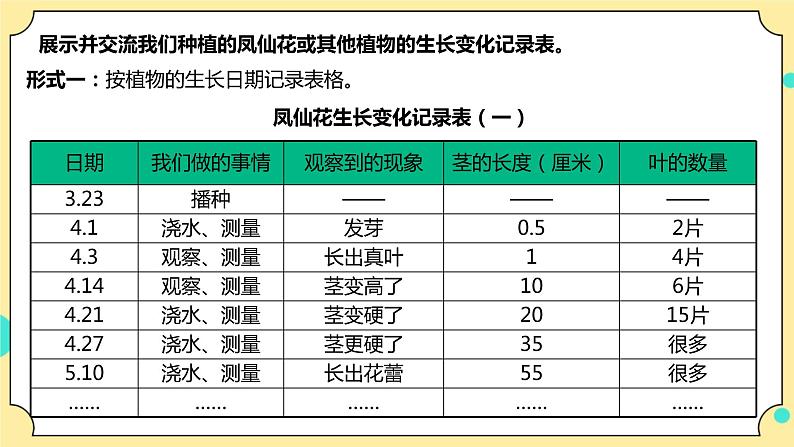 1.8《凤仙花的一生》课件+教案+试题（含解析）+素材 教科版（2017）四年级科学下册05