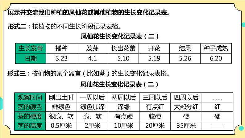 1.8《凤仙花的一生》课件+教案+试题（含解析）+素材 教科版（2017）四年级科学下册06