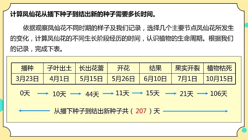 1.8《凤仙花的一生》课件+教案+试题（含解析）+素材 教科版（2017）四年级科学下册08